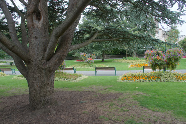 sony nex-3 camera review