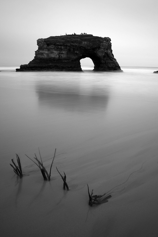 steven davis photography