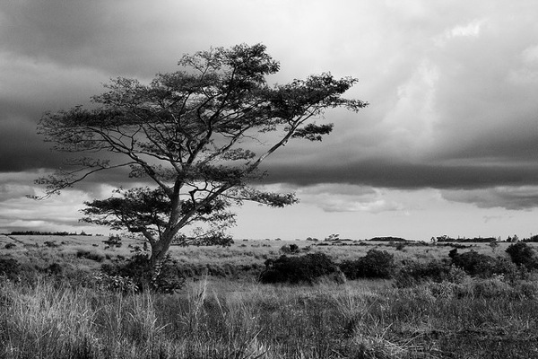 steven davis photography