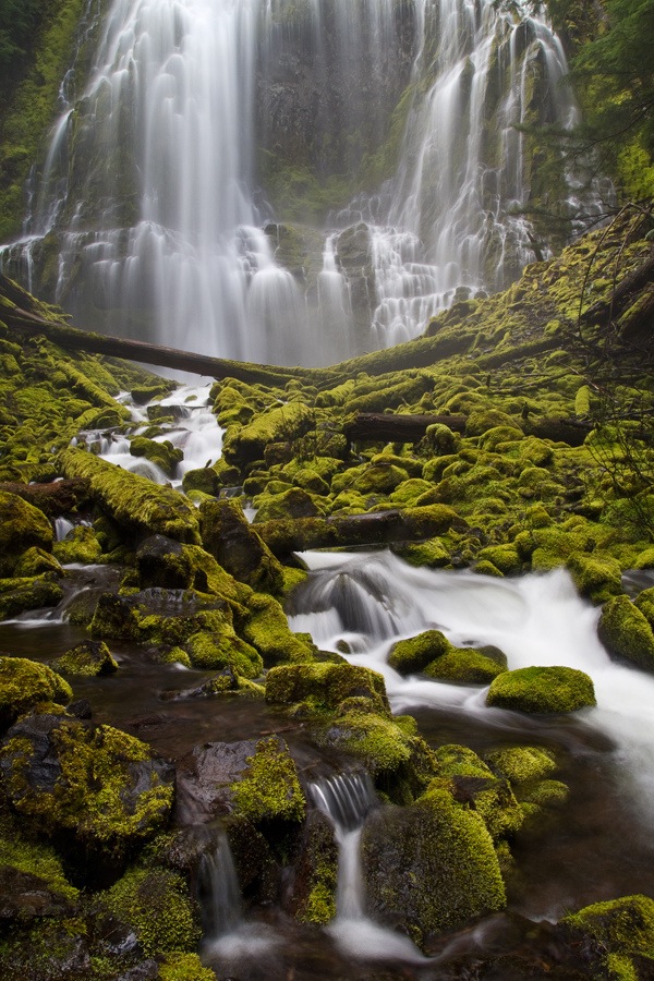 steven davis photography