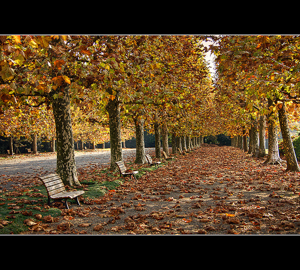 autumn photography examples