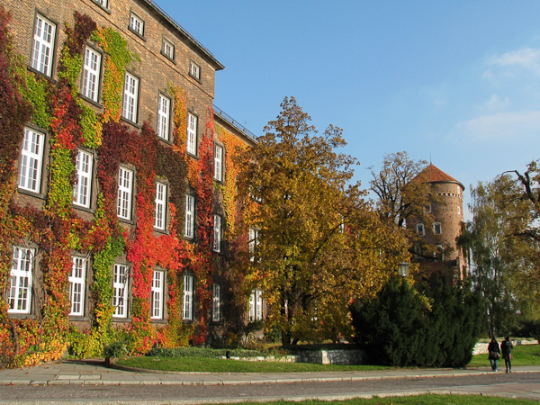 autumn photography examples