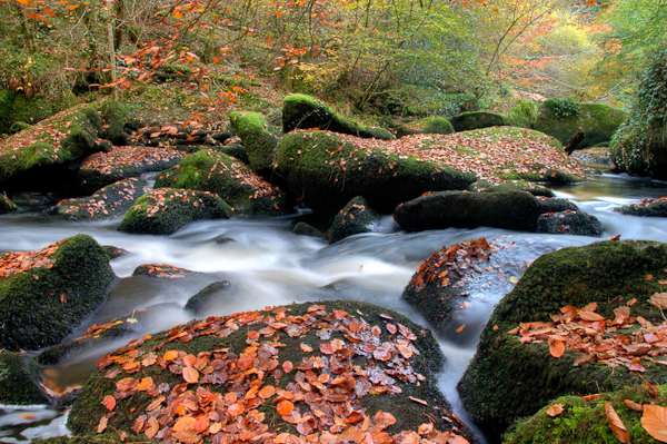 autumn photography examples