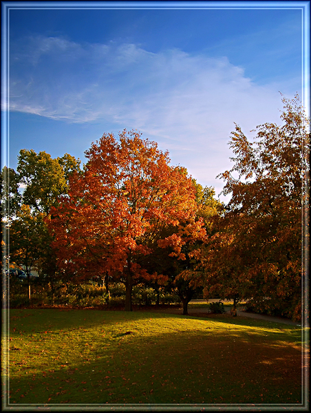 autumn photography examples