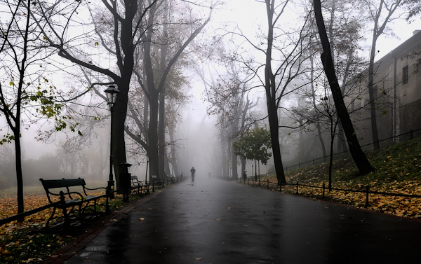 autumn photography examples