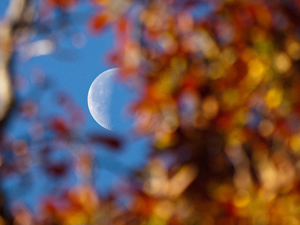 autumn photography examples