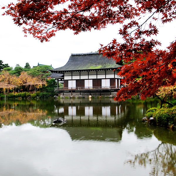 autumn photography examples