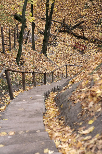 autumn photography examples