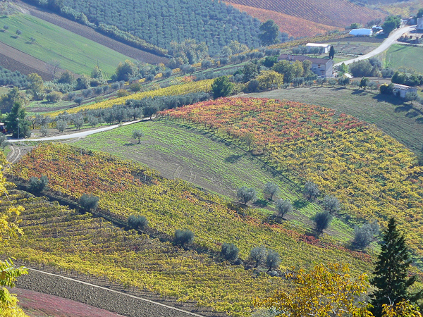 autumn photography examples