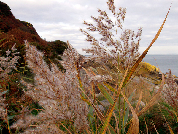 autumn photography examples