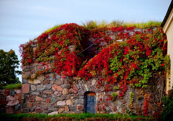 autumn photography examples