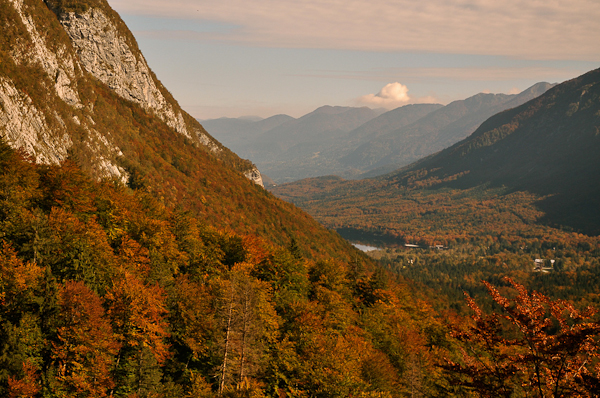 autumn photography examples