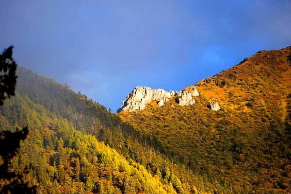 autumn photography examples