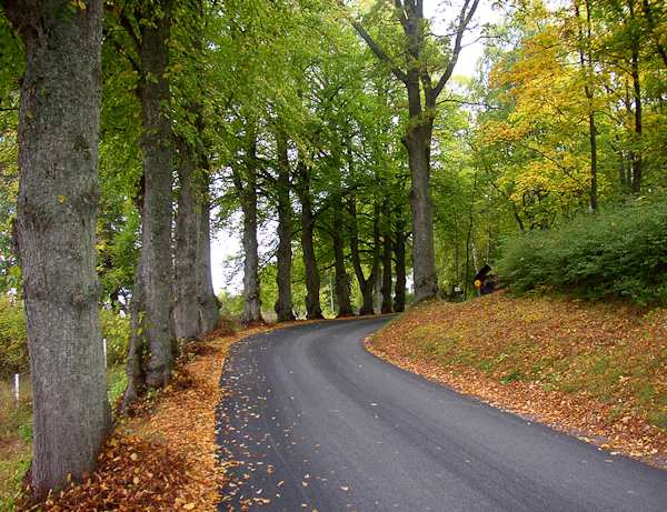 autumn photography examples