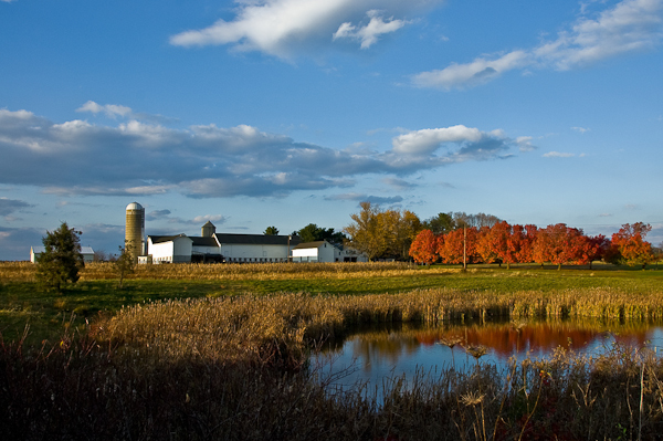 autumn photography examples