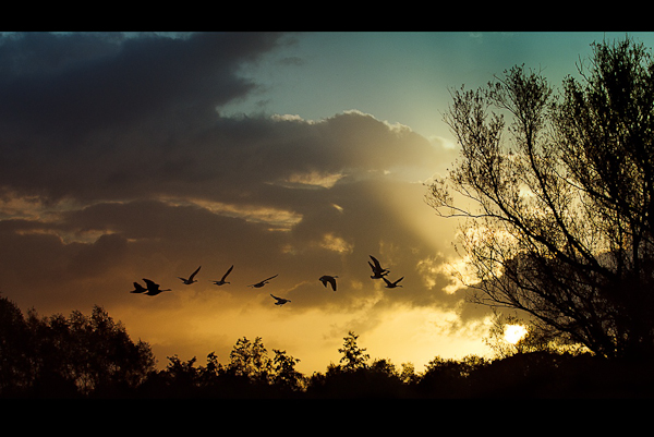 autumn photography examples