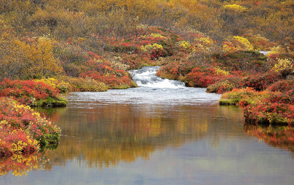 autumn photography examples