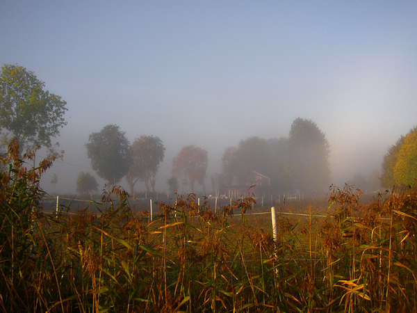 autumn photography examples