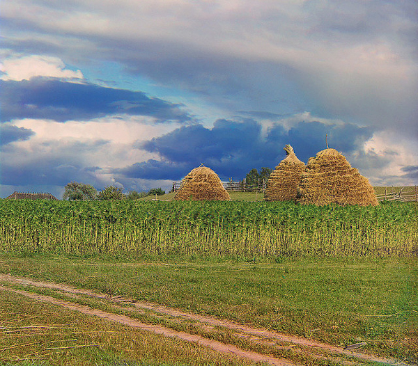 autumn photography examples