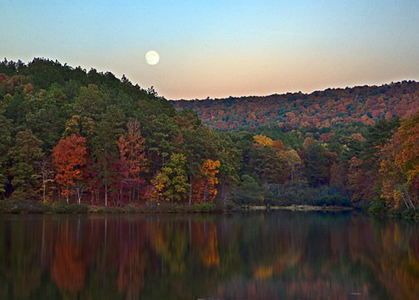 autumn photography examples