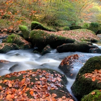 A Photographic Journey Through Autumn in the Northern Hemisphere