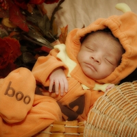 100 Cute and Creepy Halloween Photos
