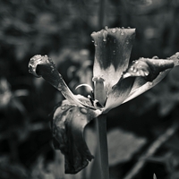 Friday Photo Critique #57