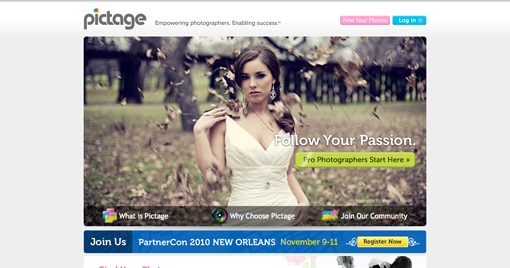 photography website services compared