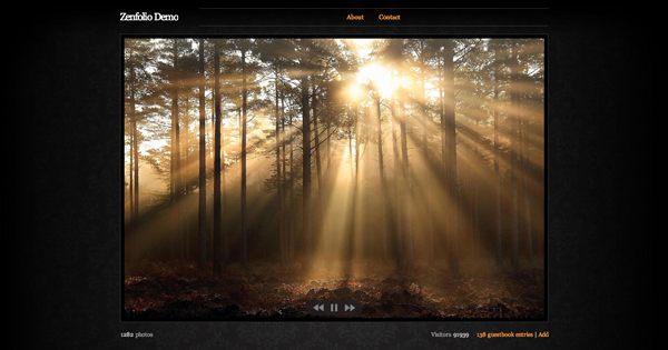 photography website services compared