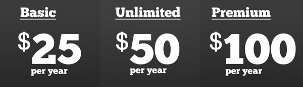 photography website services compared