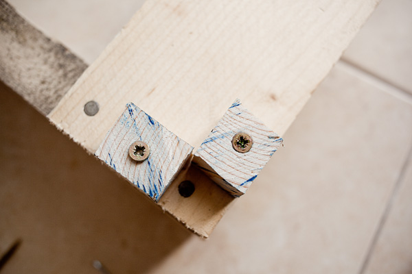 dolly diy home made photography
