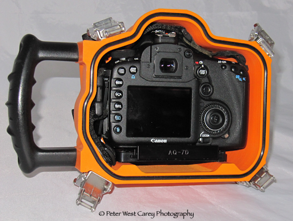 underwater photography tips