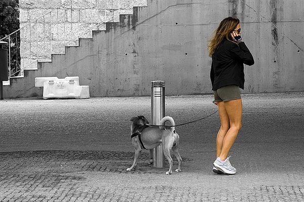 partial color colour photography
