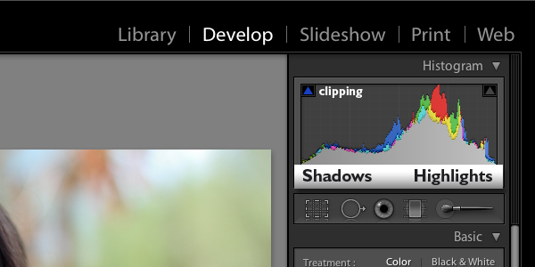 adobe lightroom histogram