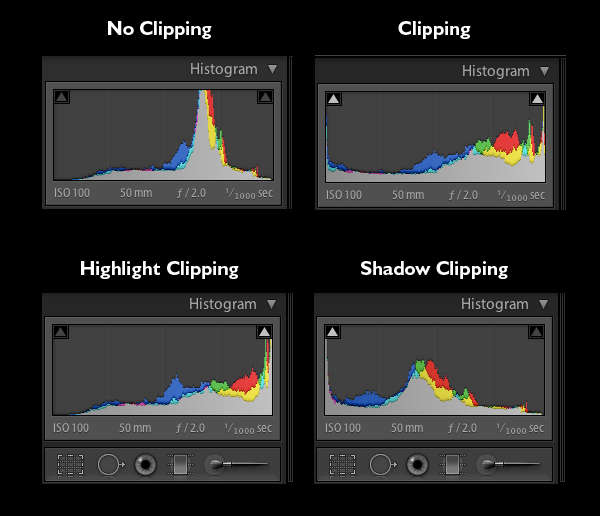 adobe lightroom histogram