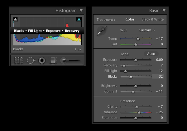 adobe lightroom histogram