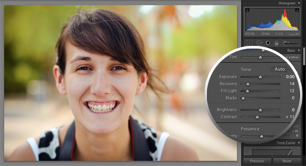 adobe lightroom histogram