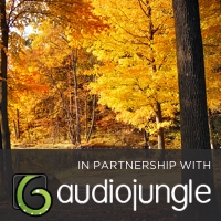 Sonic Slideshow #1: Autumn – Submit Your Photo!