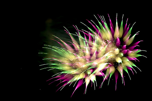 firework photography examples and tutorial