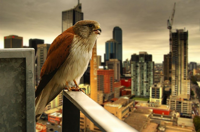 urban city photography examples