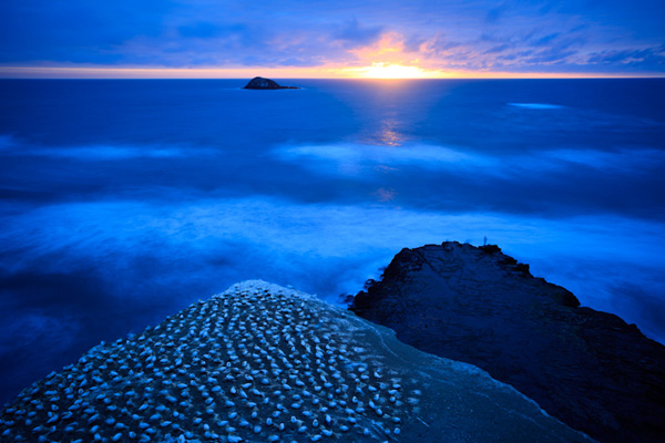 photography background tips