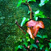 Boosting Color Using Photoshop’s LAB Mode – Photo Premium