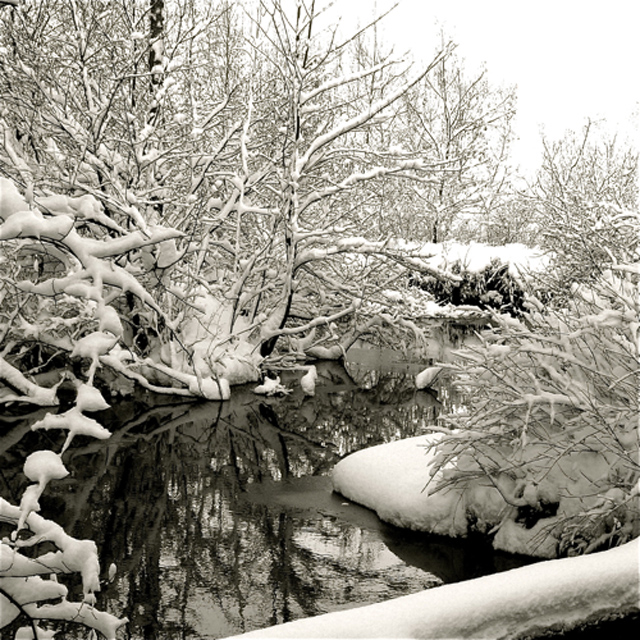 winter snow photography examples