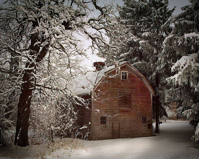 winter snow photography examples