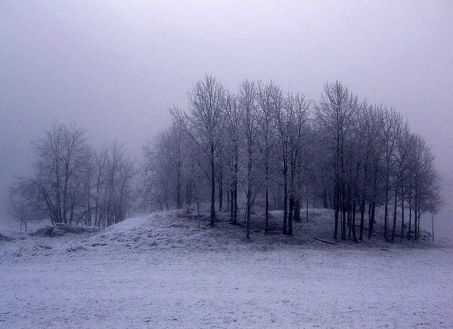 winter snow photography examples