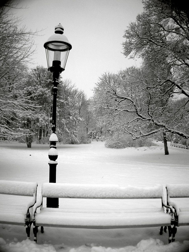 winter snow photography examples
