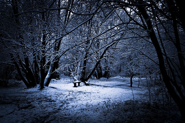 winter snow photography examples