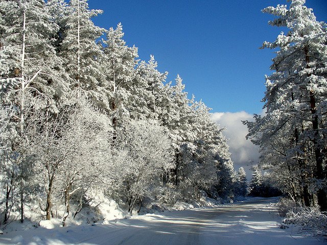 winter snow photography examples