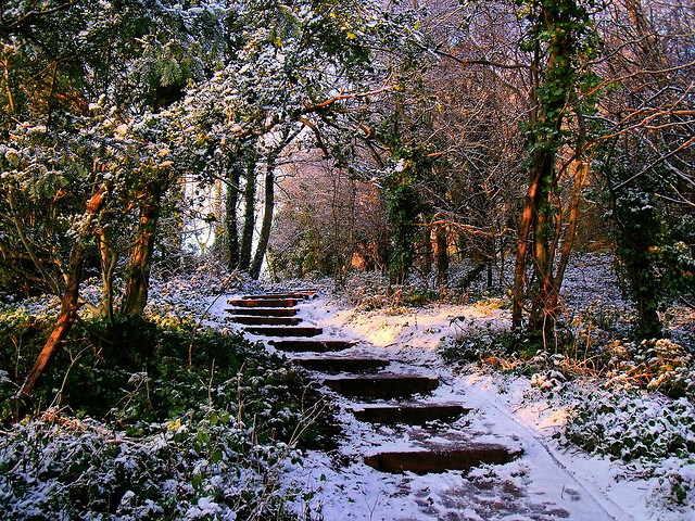 winter snow photography examples