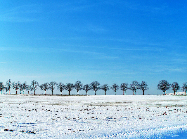 winter snow photography examples